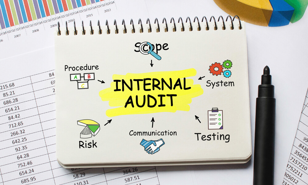 Internal Audit Skills Level 3, 4 and 5